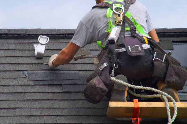 Best Metal Roofing Contractor  in Ddleville, MI
