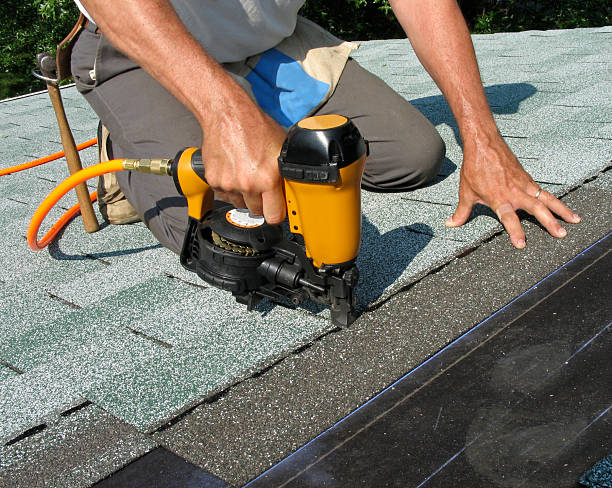 Best Roof Leak Repair  in Ddleville, MI