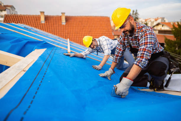 Best Commercial Roofing Services  in Ddleville, MI