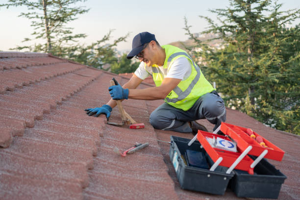 Best New Roof Installation  in Ddleville, MI