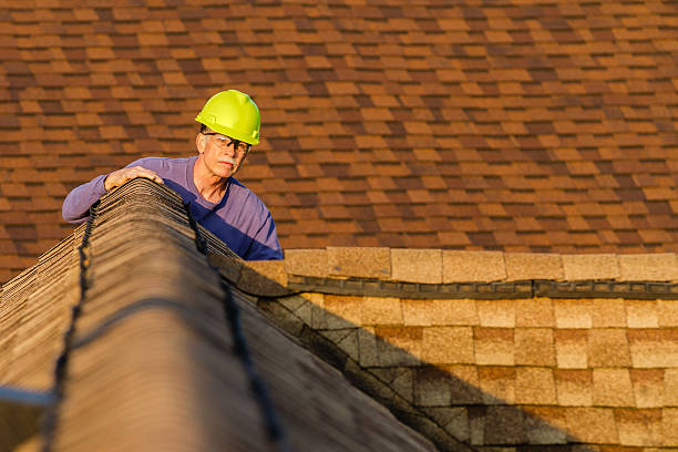 Best Roof Gutter Cleaning  in Ddleville, MI