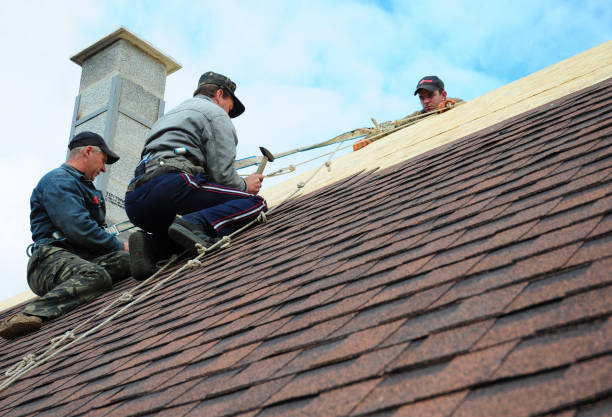 Best Commercial Roofing Services  in Ddleville, MI